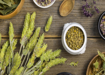 بهترین داروی گیاهی برای دیابت + معرفی پنج گیاه برای مفید برای دیابت