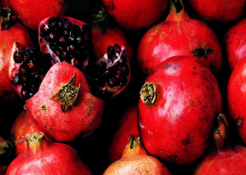 انار برای دیابت خوبه یا بد؟ هر آنچه باید درباره خواص انار برای بیماران دیابتی بدانید