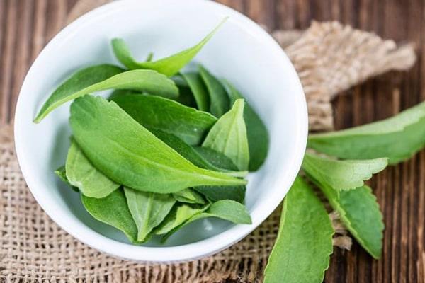 استویا جیست