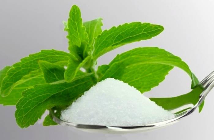 گیاه استویا چیست